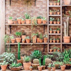 Meet your Posher, Logan